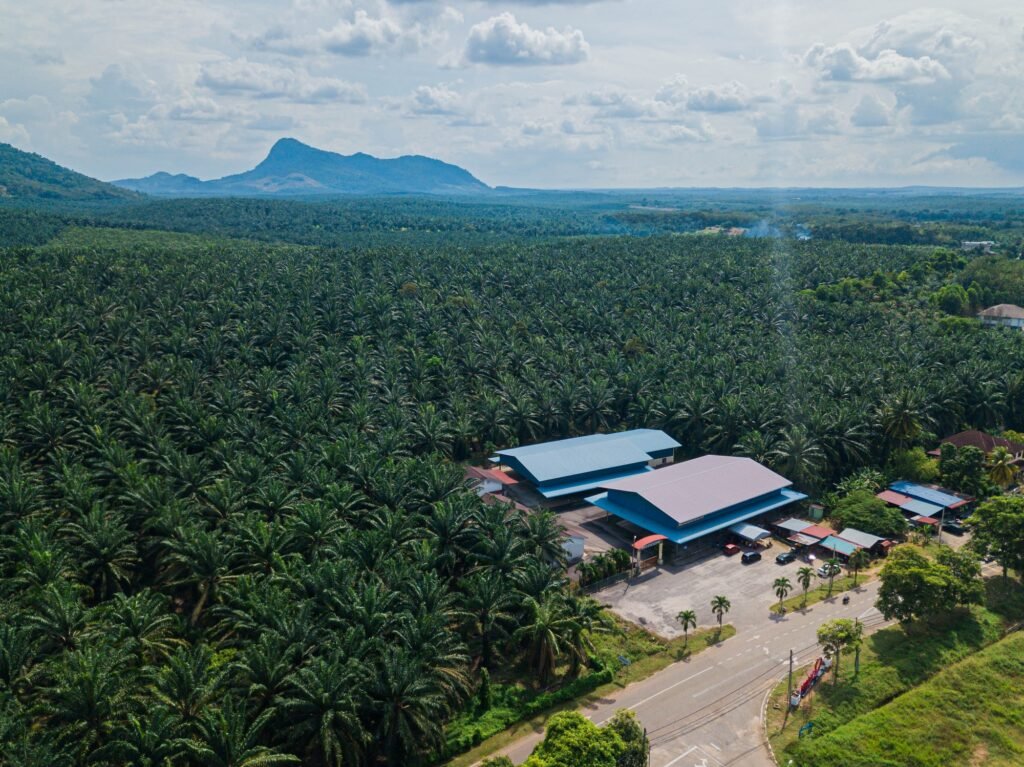Aerial drone view of oil palm plantations land in Asahan, Melaka, Malaysia.